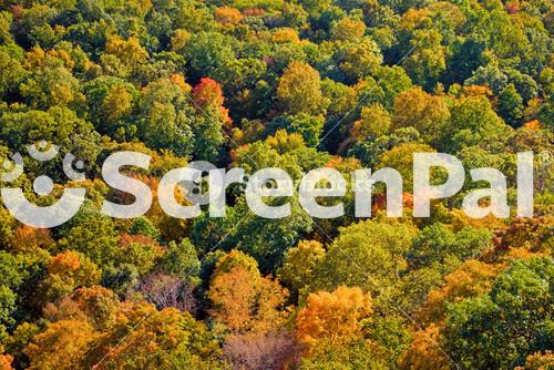 New England Fall Foliage